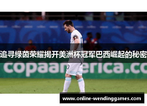 追寻绿茵荣耀揭开美洲杯冠军巴西崛起的秘密 追寻绿茵荣耀揭开美洲杯冠军巴西崛起的秘密