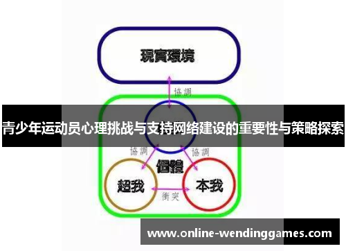 青少年运动员心理挑战与支持网络建设的重要性与策略探索